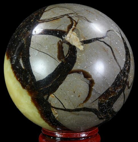 Polished Septarian Sphere - Madagascar #67839